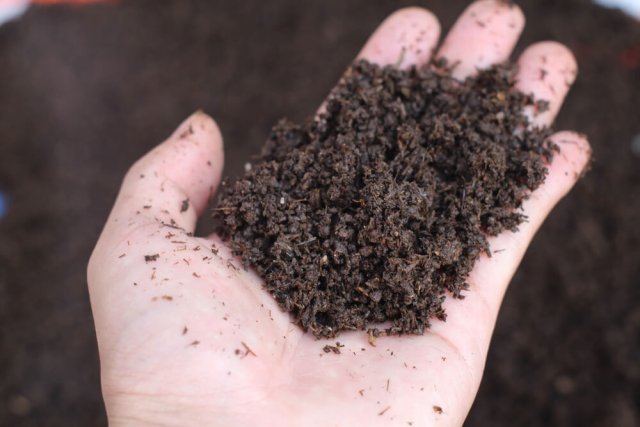 Vermicompost exporter in USA